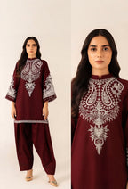 2-Piece Dhanak Embroidered Winter Suit for Women