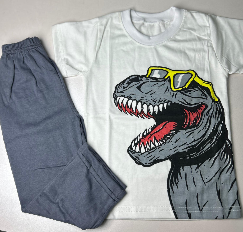 Boys Cool Dinosaur Printed T-Shirt & Trouser Set - Soft Jersey Summer Tracksuit