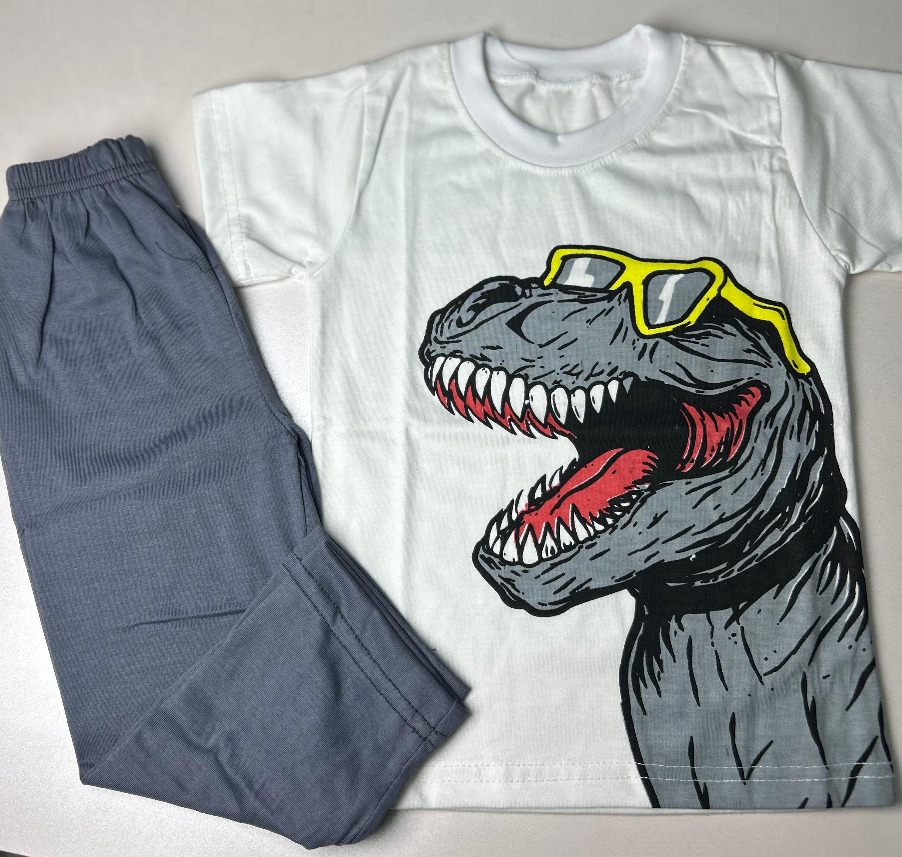 Boys Cool Dinosaur Printed T-Shirt & Trouser Set - Soft Jersey Summer Tracksuit