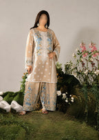 Trending 2-Piece Embroidered Soft Cotton Suit – Printed Farshee Salwar