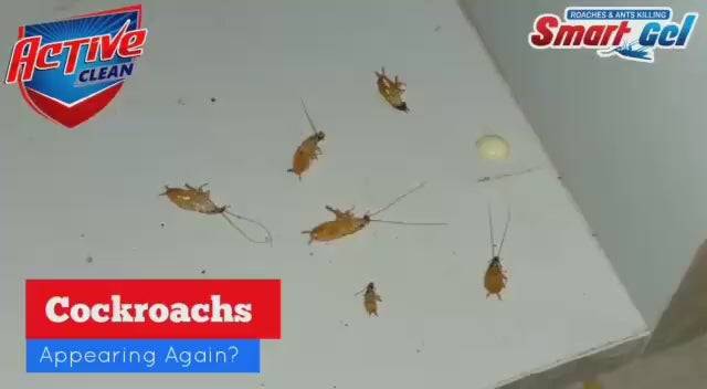 Powerful Smart Cockroach Control Gel | No-Mess Home & Kitchen Pest Control